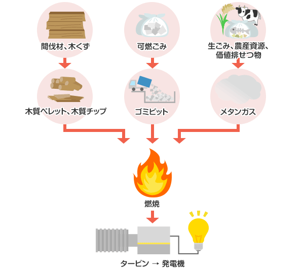 バイオマス発電
